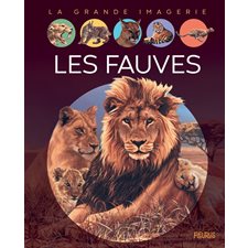 Les fauves : La grande imagerie