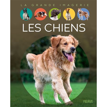 Les chiens : La grande imagerie