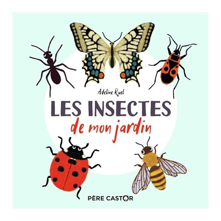 Les insectes de mon jardin