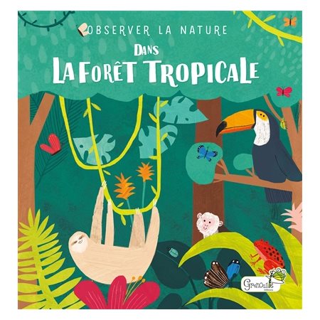 Dans la forêt tropicale : Observer la nature