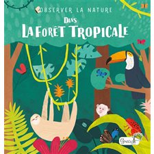 Dans la forêt tropicale : Observer la nature