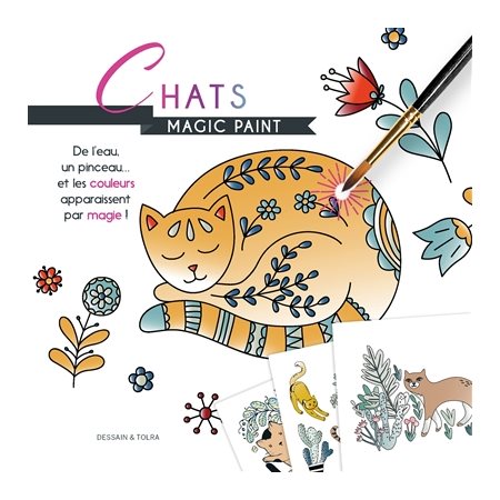 Chats : Magic paint : De l'eau, un pinceau ... et les couleurs apparaissent par magie !