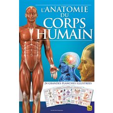 L'anatomie du corps humain : 24 grandes planchess illustrées : Nouvelles pistes thérapeutiques