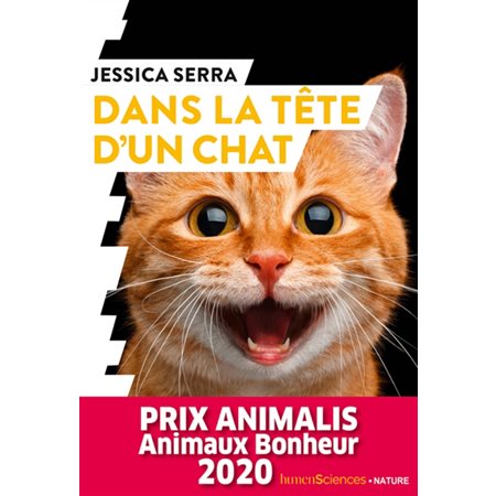 Dans la tête d'un chat