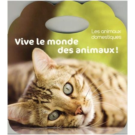 Les animaux domestiques : Vive le monde des animaux !