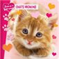 Chats mignons : J'aime ta frimousse : 6 mois et +