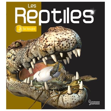 Les reptiles : A la loupe : Nouvelle édition