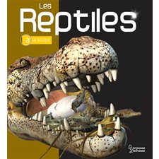 Les reptiles : A la loupe : Nouvelle édition