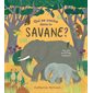 Qui se cache dans la savane ? : Avec plus de 20 flaps à soulever !