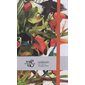 Toucans : Carnet ligne