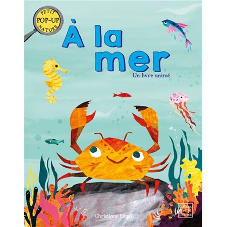 A la mer : Petit pop-up nature