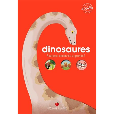 Dinosaures : Pourquoi étaient-ils si grands ? : Mes premières découvertes. Mon documentaire animé