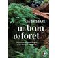 Un bain de forêt : Découvrez la sylvothérapie et les bienfaits des arbres