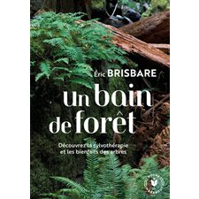 Un bain de forêt : Découvrez la sylvothérapie et les bienfaits des arbres