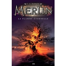 Merlin T. 11 (FP) : La flamme éternelle