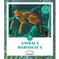 Animaux majestueux : Coloriages à encadrer : Cadre & accroche inclus