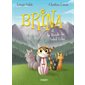 Brina et la bande du soleil félin : Bande dessinée