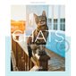 Chats, ruelles et paysages : Ruelles et paysages