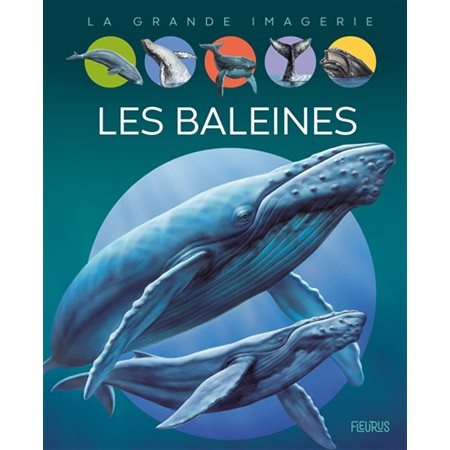 Les baleines : La grande imagerie