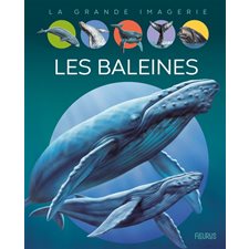 Les baleines : La grande imagerie