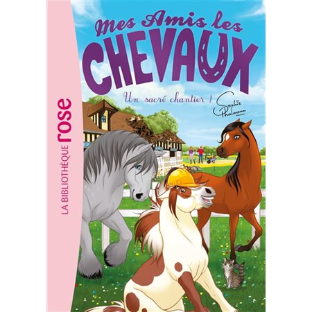 Mes amis les chevaux T.31 : Un sacré chantier ! : Bibliothèque rose