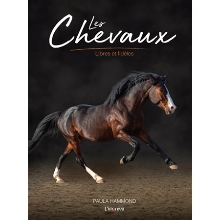 Les chevaux : Libres et fidèles