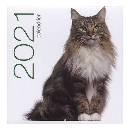 Chats : Calendrier mural 2021