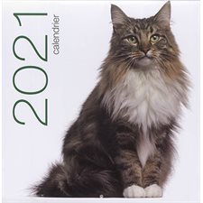 Chats : Calendrier mural 2021