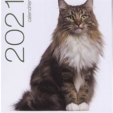 Chats : Calendrier de table 2021