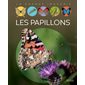 Les papillons : La grande imagerie