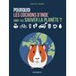 Pourquoi les cochons d'Inde vont-ils sauver la planète ?