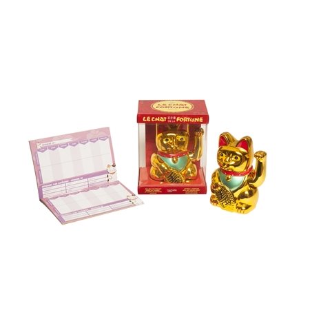 Le chat de la fortune : Coffret comprenant 1 maneki-neko + 1 livre de comptes à remplir