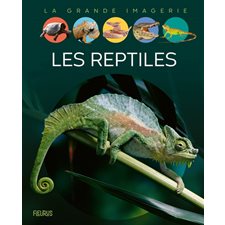 Les reptiles : La grande imagerie