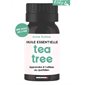 Tea tree (arbre à thé) : Huile essentielle : Une huile, un livre
