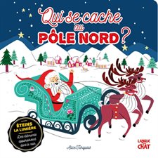 QUI SE CACHE AU PÔLE NORD?