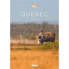 Québec : Les clés pour bien voyager (Glénat)