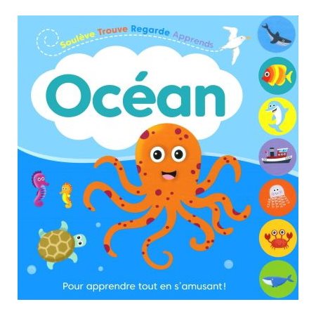 Océan : Soulève, trouve, regarde, apprends