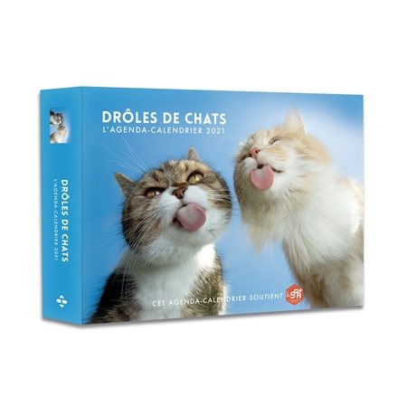 Drôles de chats : L'agenda calendrier 2021