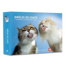 Drôles de chats : L'agenda calendrier 2021