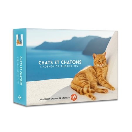 Chats et chatons : L'agenda calendrier 2021