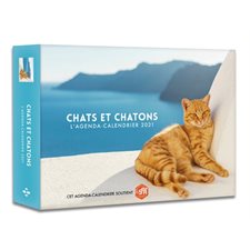 Chats et chatons : L'agenda calendrier 2021