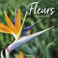 Calendrier 2021 : Fleurs