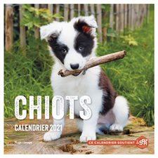 Calendrier 2021 : Chiots
