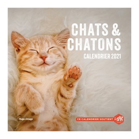 Calendrier 2021 : Chats & chatons