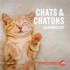 Calendrier 2021 : Chats & chatons
