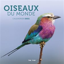 Calendrier 2021 : Oiseaux du monde