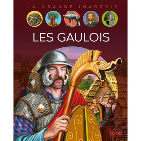 Les Gaulois : La grande imagerie