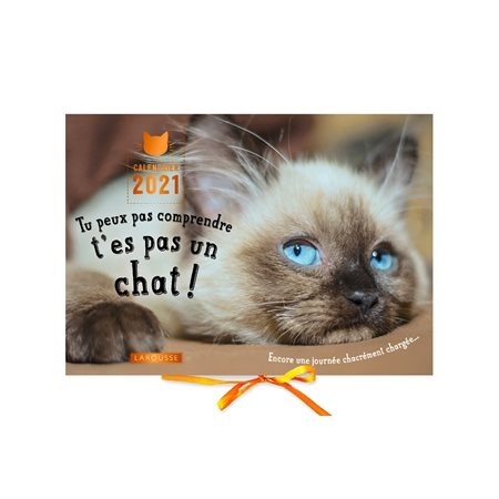 Calendrier 2021 : Tu peux pas comprendre, t'es pas un chat !