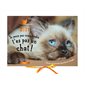 Calendrier 2021 : Tu peux pas comprendre, t'es pas un chat !