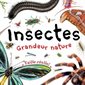 Insectes grandeur nature